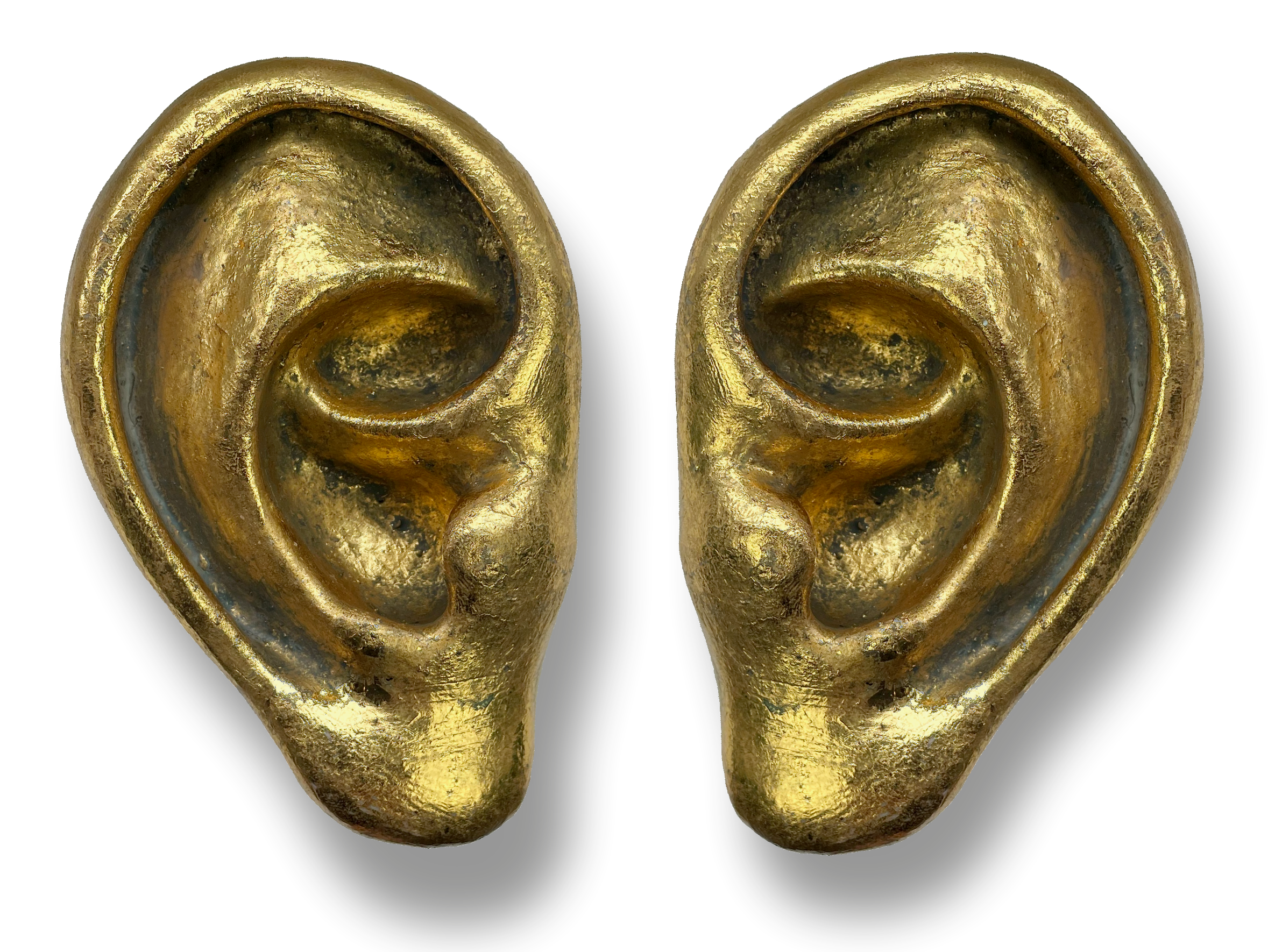 AURICLE